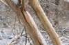 castricum_009_small.jpg