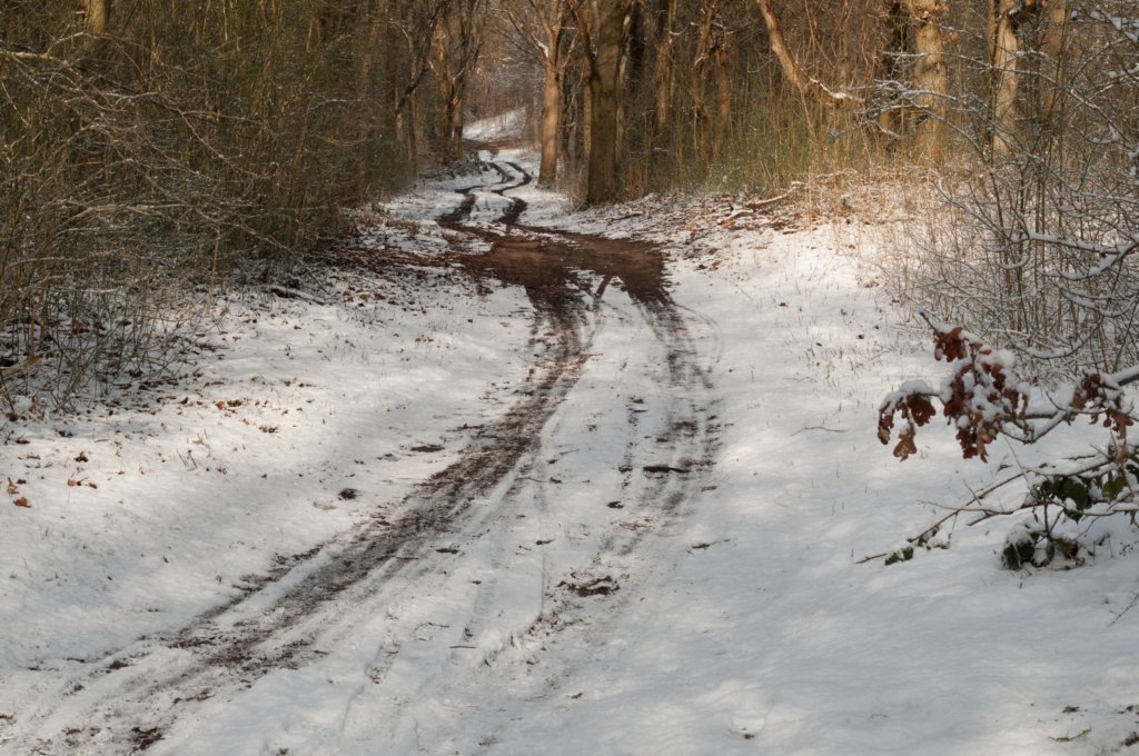castricum_012.jpg
