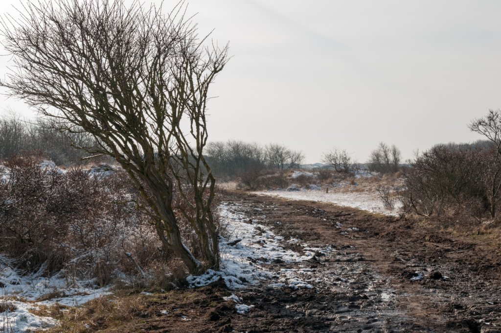 castricum_015.jpg