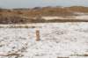castricum_017_small.jpg