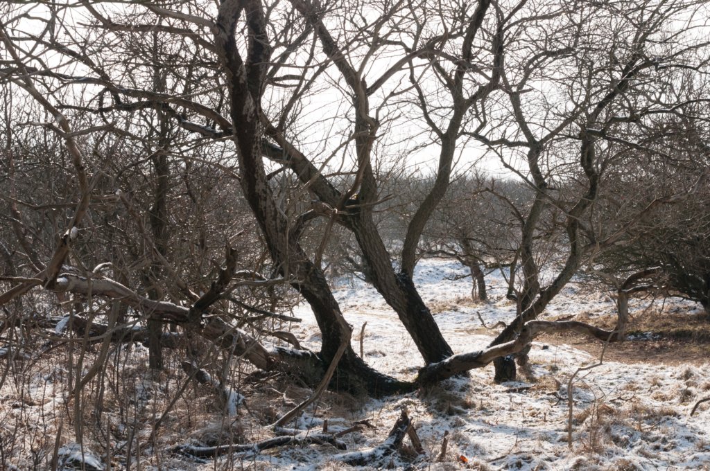 castricum_019.jpg