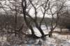 castricum_019_small.jpg