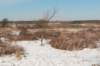 castricum_020_small.jpg