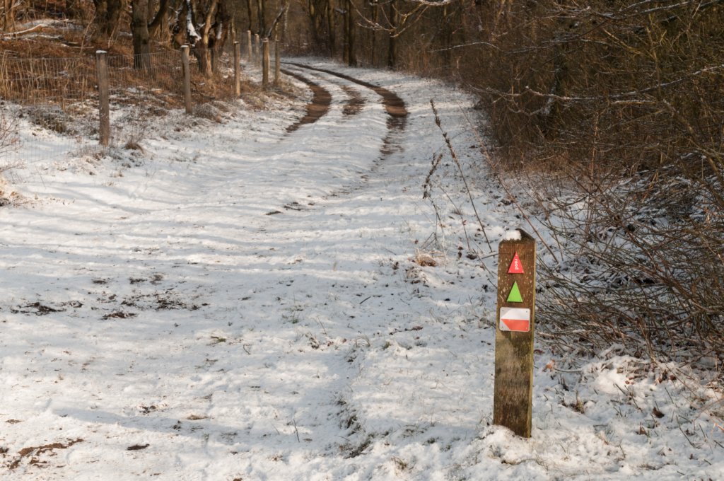castricum_022.jpg