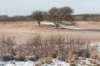 castricum_024_small.jpg