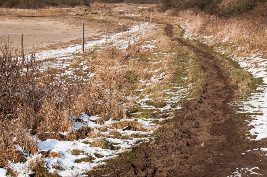 castricum_026.jpg