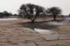 castricum_028_small.jpg