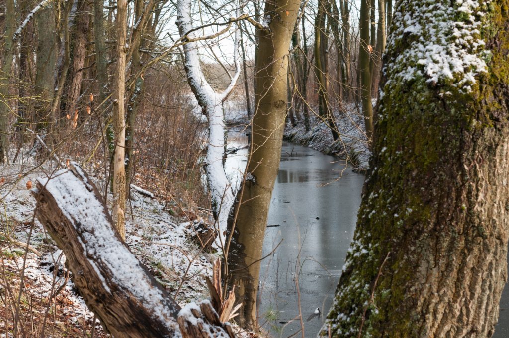 castricum_029.jpg