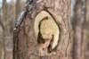castricum_030_small.jpg