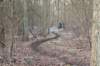 castricum_031_small.jpg