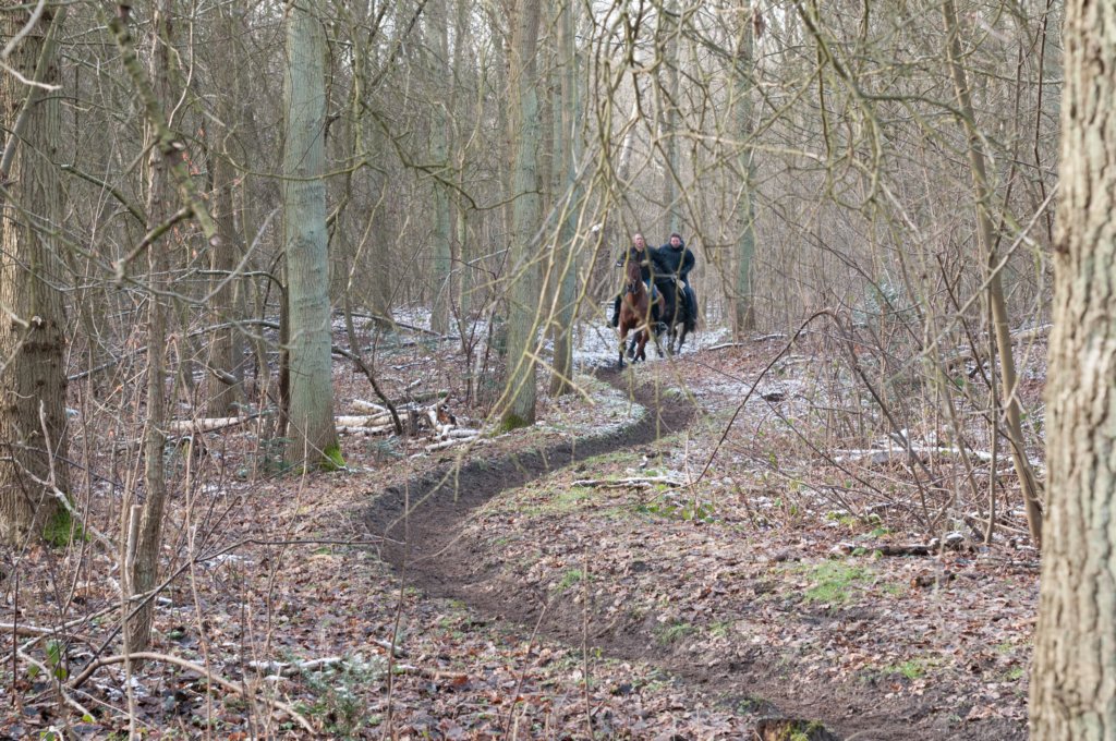 castricum_032.jpg