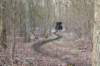castricum_032_small.jpg