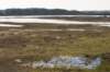 castricum_035_small.jpg
