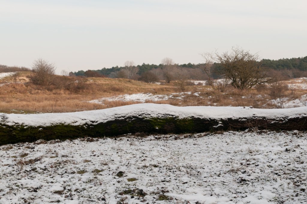 castricum_036.jpg