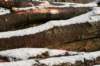 castricum_038_small.jpg