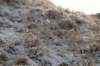 castricum_040_small.jpg