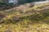 castricum_041_small.jpg