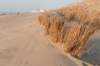 castricum_052_small.jpg