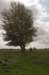 blauwekamer_018_small.jpg