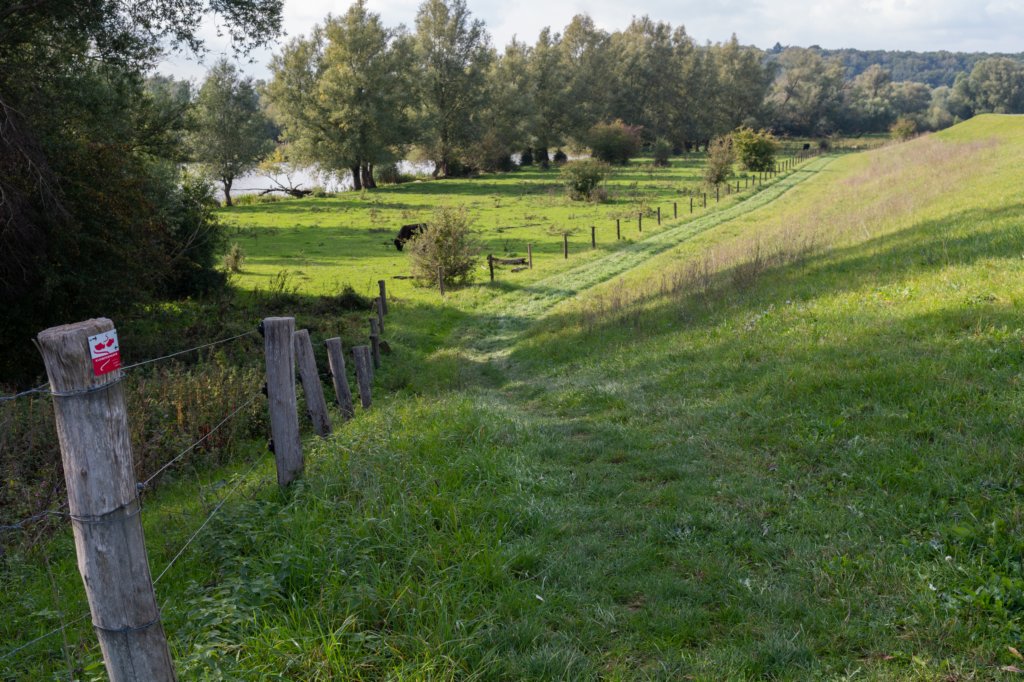 deblauwekamermk_019.jpg