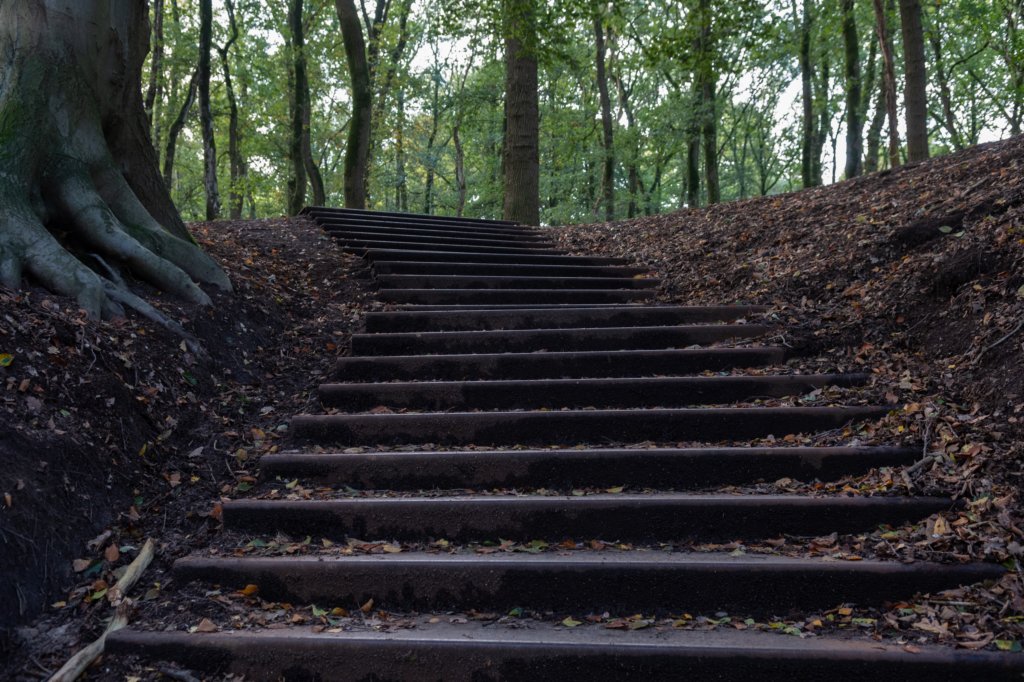 deblauwekamermk_025.jpg