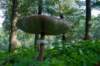 deblauwekamermk_034_small.jpg