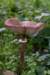 deblauwekamermk_037_small.jpg