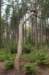 wezep_015_small.jpg
