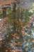 dendolder_004_small.jpg