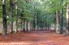 dendolder_007_small.jpg