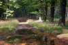 dendolder_008_small.jpg