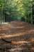 dendolder_009_small.jpg
