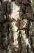 dendolder_016_small.jpg