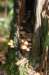 dendolder_018_small.jpg