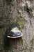 dendolder_023_small.jpg