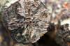dendolder_024_small.jpg