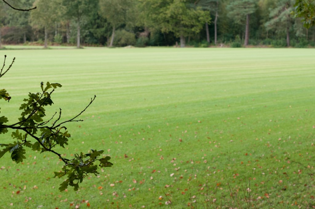 dendolder_029.jpg