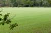 dendolder_029_small.jpg