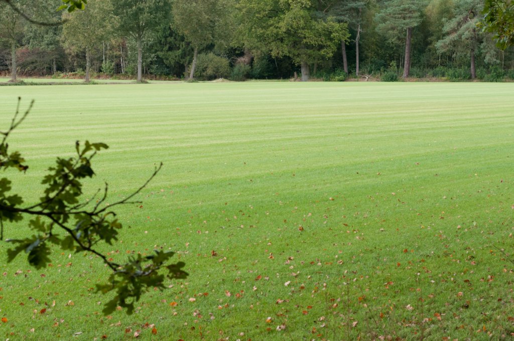 dendolder_030.jpg
