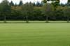 dendolder_031_small.jpg