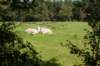 dendolder_041_small.jpg