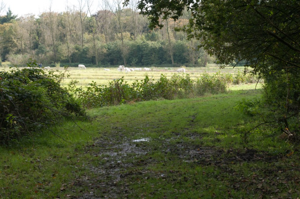 dendolder_048.jpg