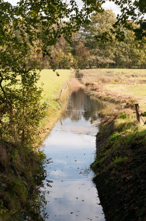 dendolder_050.jpg