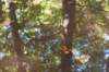 dendolder_051_small.jpg