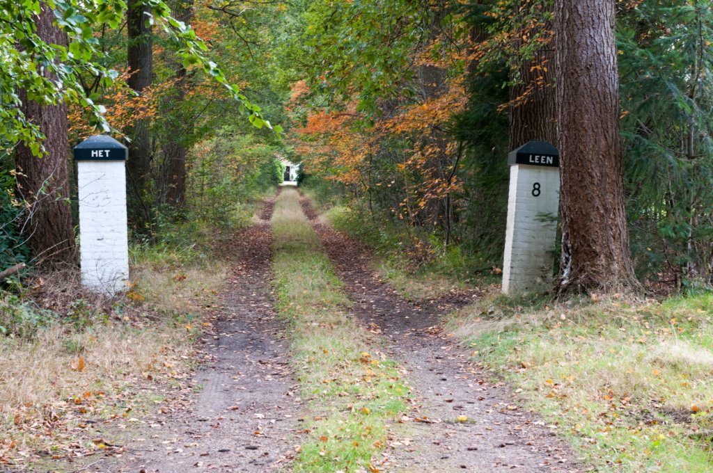 dendolder_070.jpg