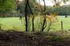 dendolder_071_small.jpg