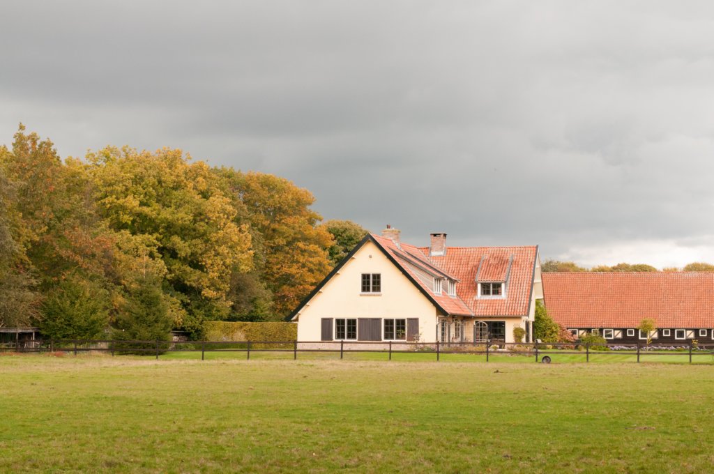 dendolder_079.jpg