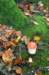 dendolder_080_small.jpg