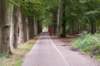 dendolder_087_small.jpg