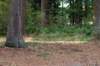 dendolder_088_small.jpg